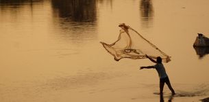 The State of World Fisheries and Aquaculture 2022