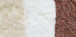 Concerns over Access to Healthy and Sustainable Food-Grains of Truth Report