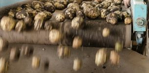Agrifood Processing Strategies for Successful Food Systems Transformation in Africa