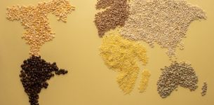 The role of traditional knowledge and food biodiversity to transform modern food systems