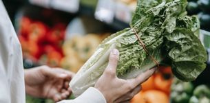Making a Plant-based Future: An Idea Whose Time Has come