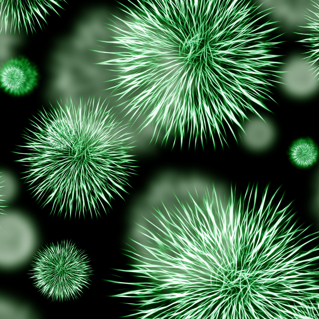 Impact of Metabolites from Foodborne Pathogens on Cancer: