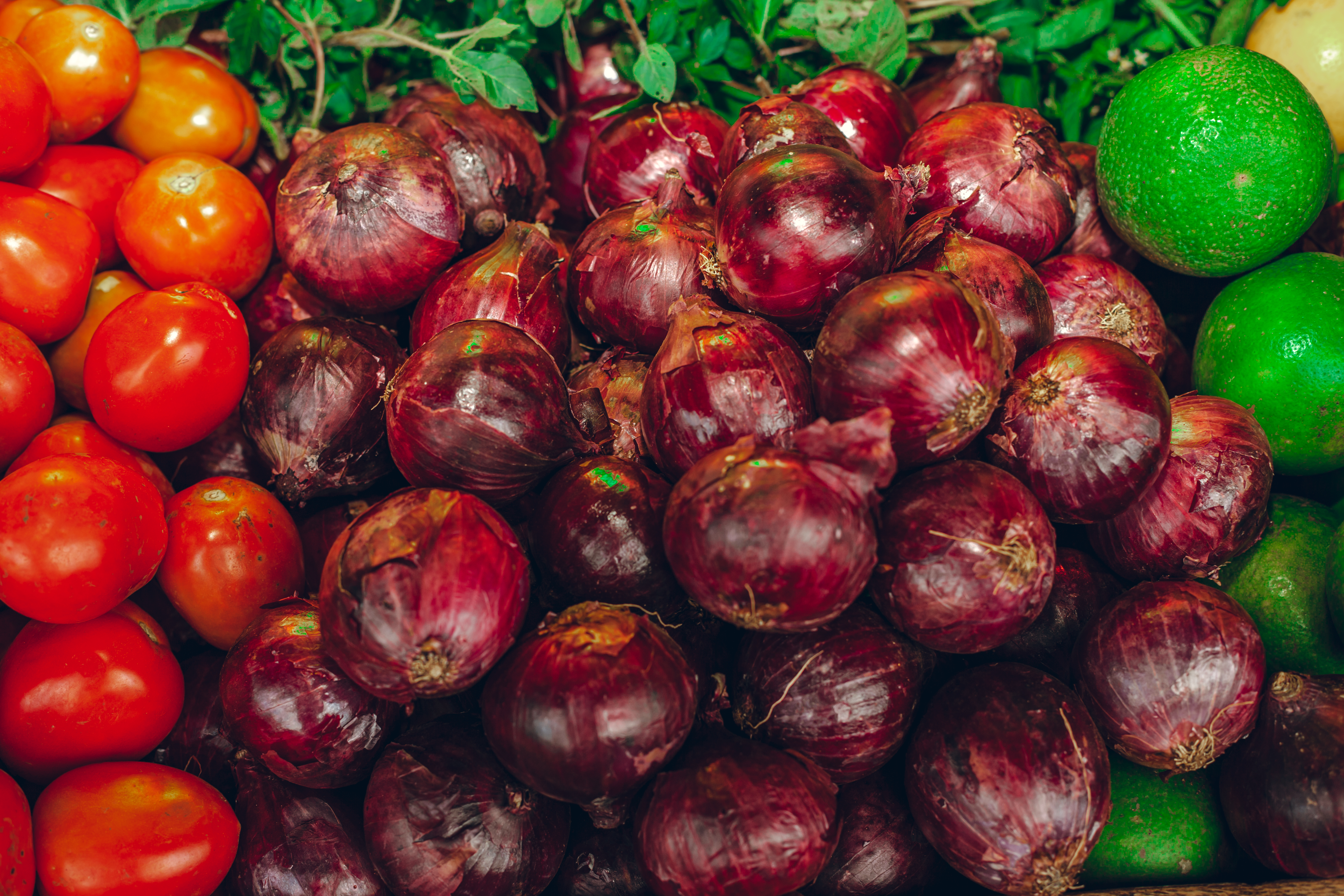 Correlation Between Vegetable and Fruit Intake and Cognitive Function