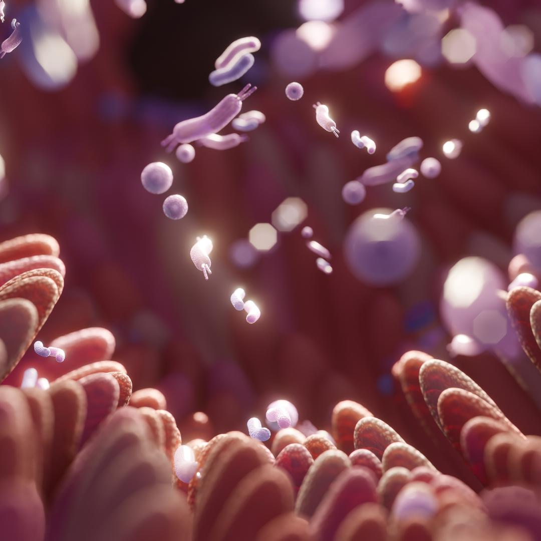 The Effect of Dietary Types on Gut Microbiota Composition and Development of Non-Communicable Diseases
