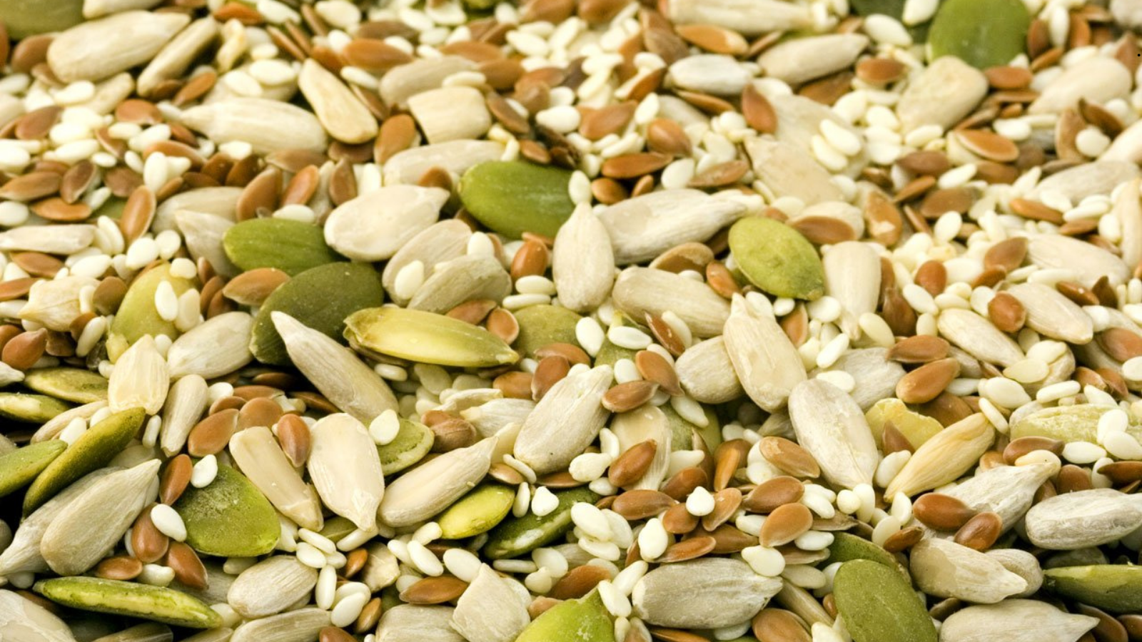 In Brief to The State of Food and Agriculture 2023 – Revealing the True Cost of Food to Transform Agrifood Systems