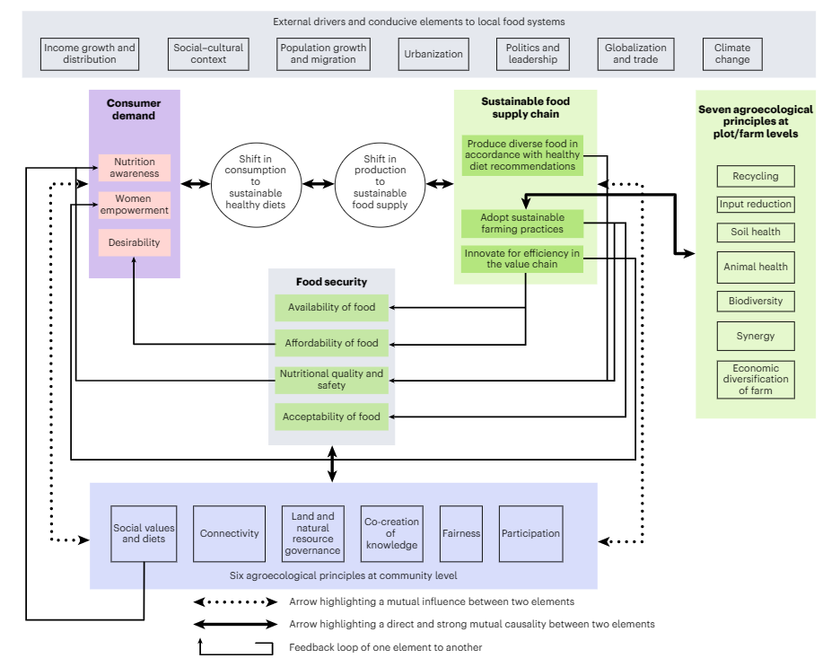 A systemic approach to transform agroecology for improved nutrition