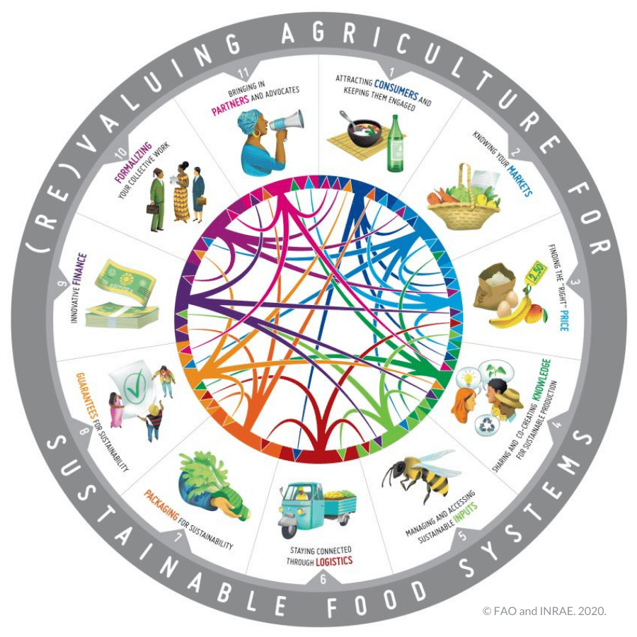 FAO INRAE diagram