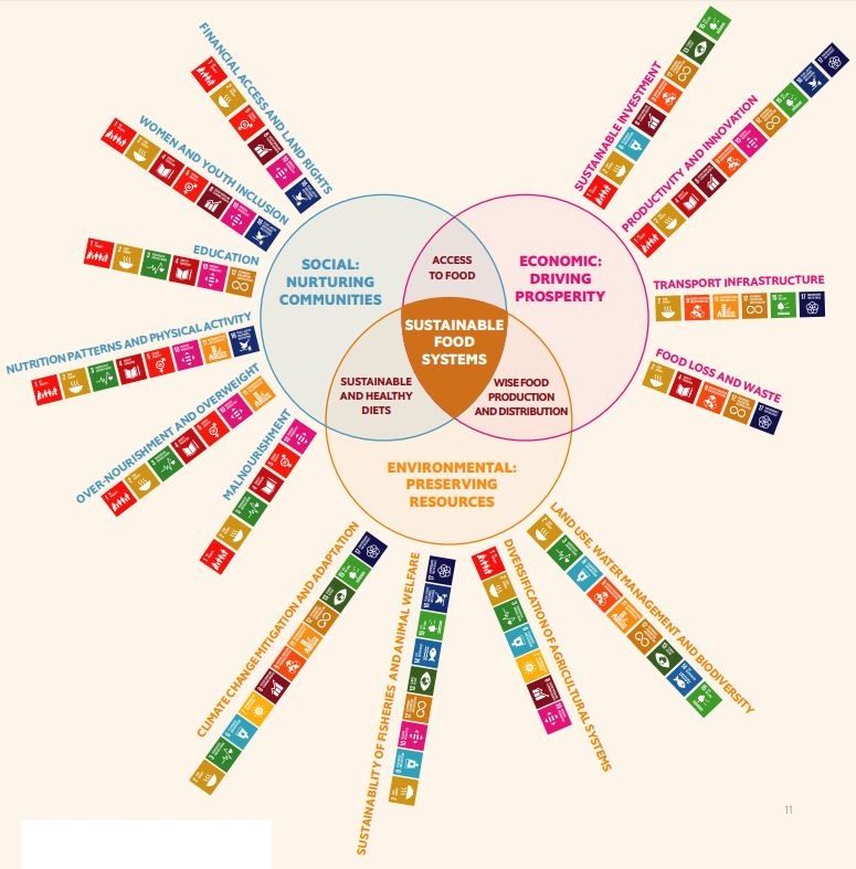 FSI Infographic food systems SDGs