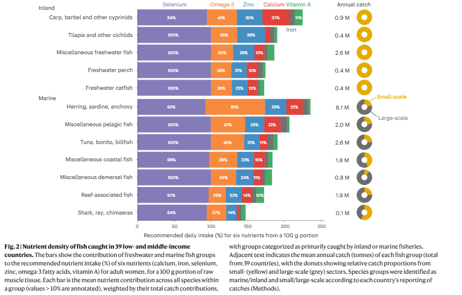 Nutrient Density of Fish Caught in LMICs