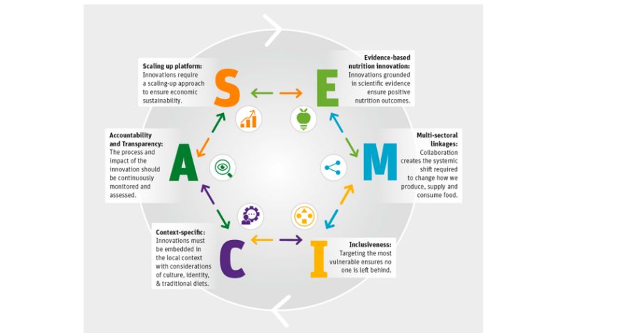 SEMICA principles for designing evidence-based food system innovations for healthier diets.